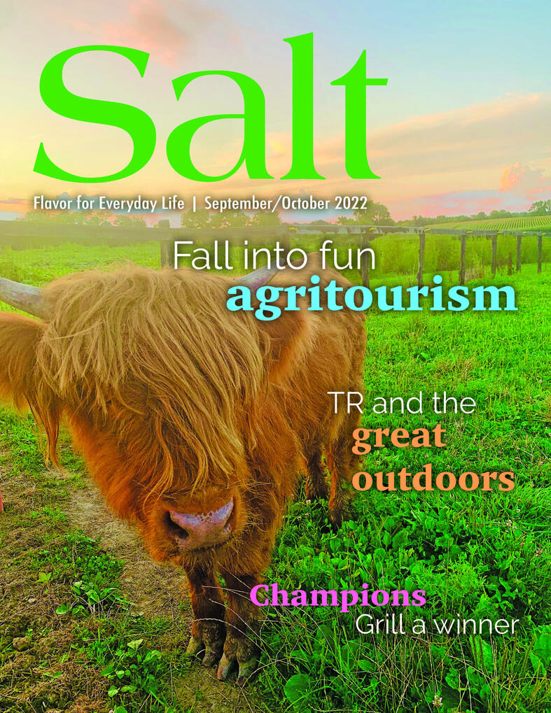 Salt Sept/Oct 2020